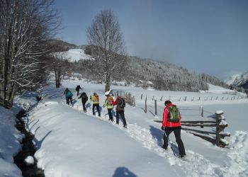 Frische-Spuren-im-Schnee.jpg